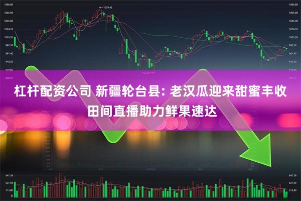 杠杆配资公司 新疆轮台县: 老汉瓜迎来甜蜜丰收 田间直播助力鲜果速达